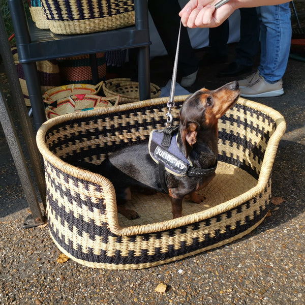 Dog Basket