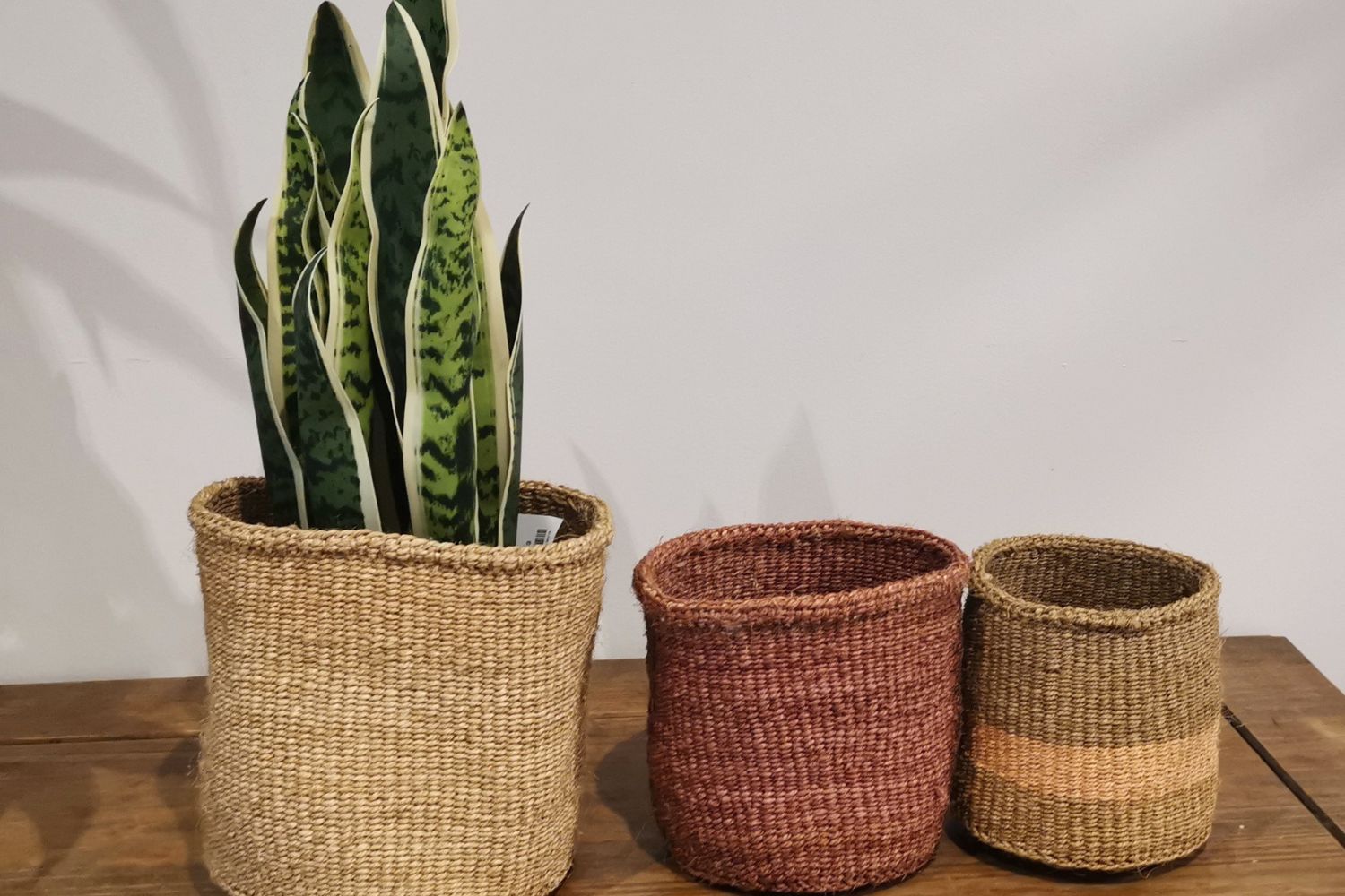 Can You Use a Woven Basket as a Planter?