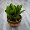 Planter Basket - 4 - Bolga Pot Basket