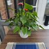 Raffia Table Runner and Placemats - Ugandan tablemat -RTM02_1