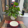 Raffia Table Runner and Placemats - Ugandan tablemat -RTM03_1