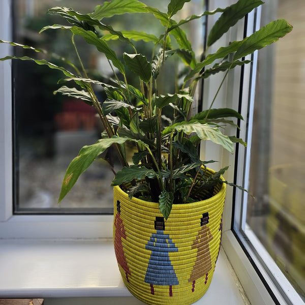 Rwandan Planter Basket - Yellow African Basket - Ganza